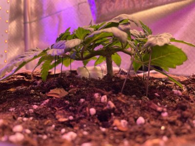 11.02.2022 - 2.jpg 11.02.2022 - 2.jpg