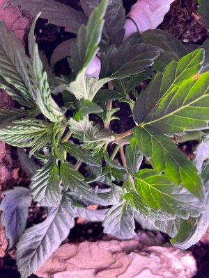 13.02.2022.jpg 13.02.2022.jpg