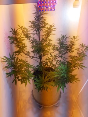 20220214_100232.jpg 20220214_100232.jpg