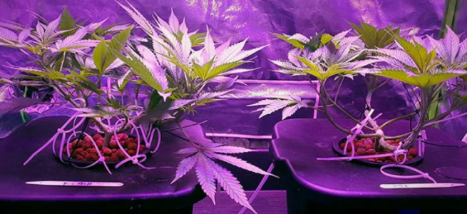 1645016375858.png 1645016375858.png