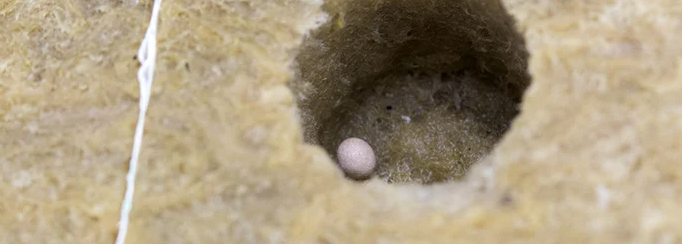 1645016429522.png 1645016429522.png