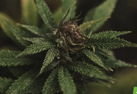 1645123843072.png 1645123843072.png