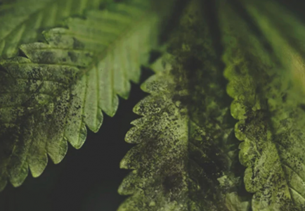 1645124000510.png 1645124000510.png