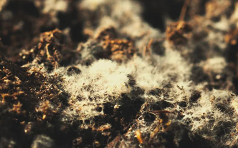 1645124241144.png 1645124241144.png