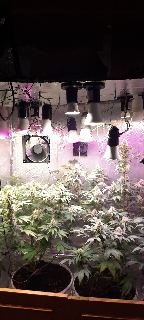 tmp-cam-2554663659263129034.jpg tmp-cam-2554663659263129034.jpg