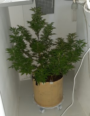 20220219_190248.jpg 20220219_190248.jpg