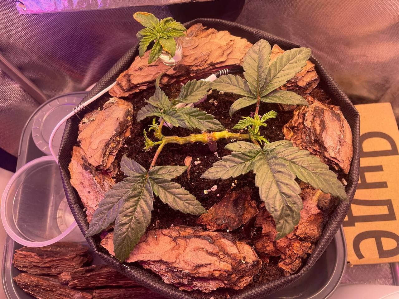 15.02.2022.jpg 15.02.2022.jpg