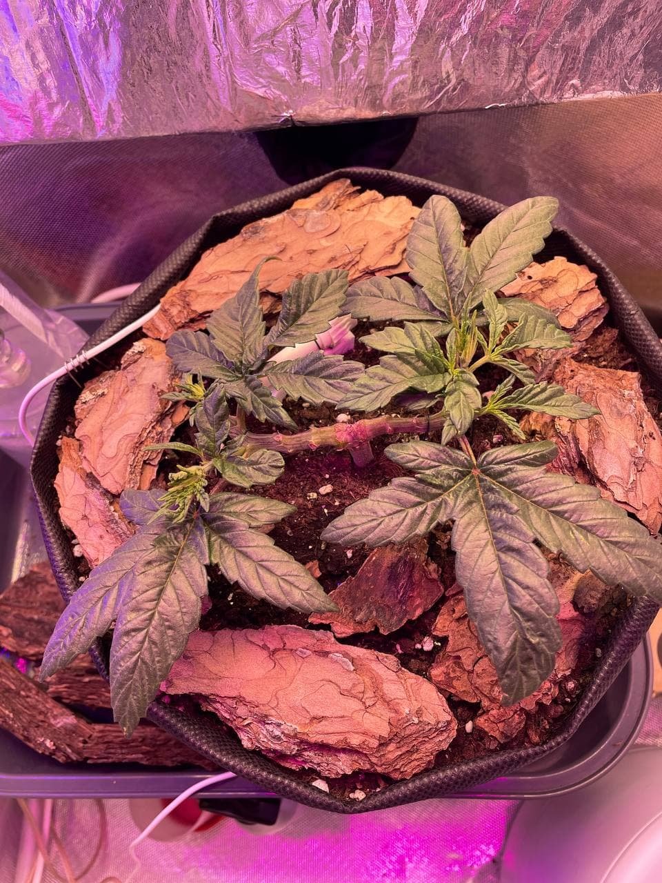 17.02.2022.jpg 17.02.2022.jpg