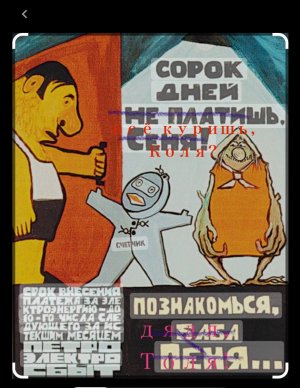 IMG_0333.jpeg IMG_0333.jpeg