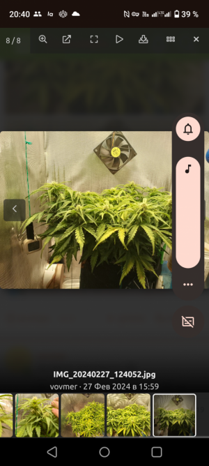 Screenshot_20240229-204020.png Screenshot_20240229-204020.png