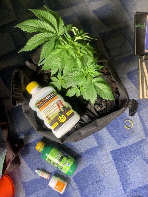 IMG_0402.jpeg IMG_0402.jpeg