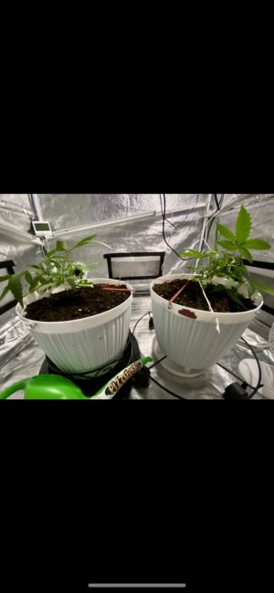 17.02.24.jpeg 17.02.24.jpeg