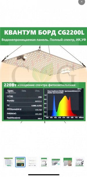 IMG_0443.jpeg IMG_0443.jpeg