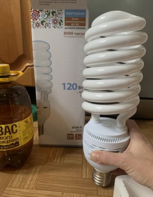 IMG_0448.jpeg IMG_0448.jpeg