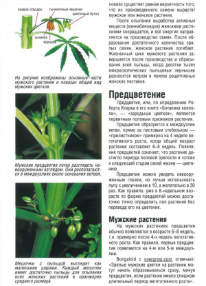 Снимок экрана (149).png Снимок экрана (149).png