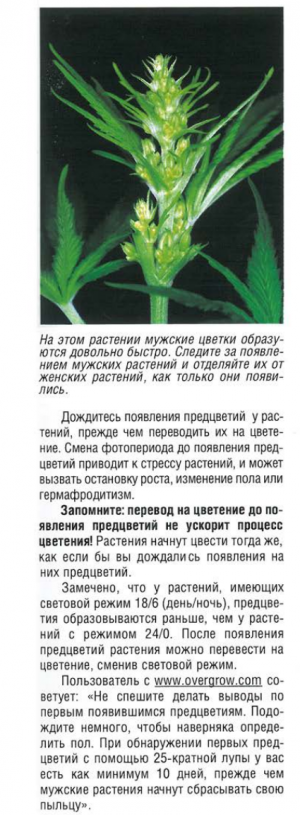 Снимок экрана (150).png Снимок экрана (150).png