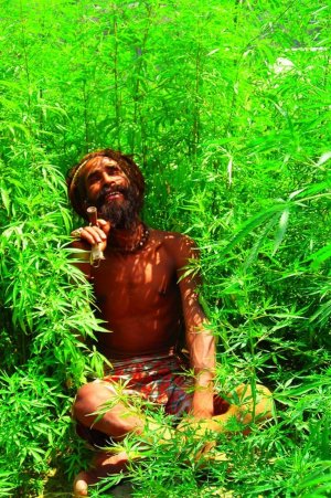 IMG_0646.jpeg IMG_0646.jpeg