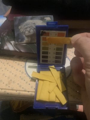 IMG_0604.jpeg IMG_0604.jpeg