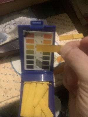 IMG_0605.jpeg IMG_0605.jpeg