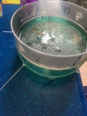 IMG_0620.jpeg IMG_0620.jpeg