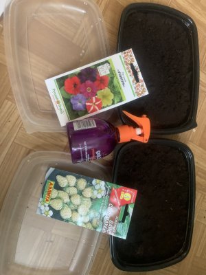 IMG_0621.jpeg IMG_0621.jpeg