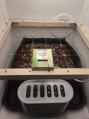 IMG_20240319_001041.jpg IMG_20240319_001041.jpg