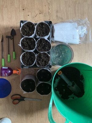 IMG_0669.jpeg IMG_0669.jpeg