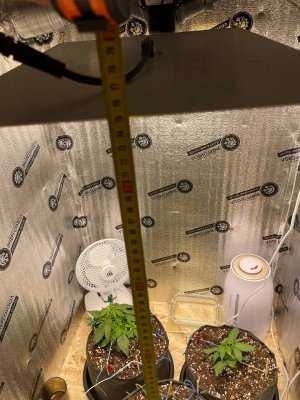 photo_2024-03-21_23-21-54.jpg photo_2024-03-21_23-21-54.jpg