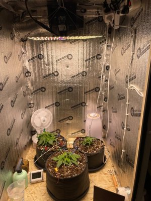 photo_2024-03-21_23-21-57.jpg photo_2024-03-21_23-21-57.jpg