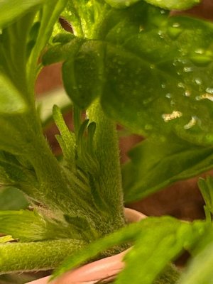 photo_2024-03-22_09-16-01.jpg photo_2024-03-22_09-16-01.jpg