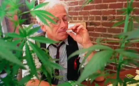 1711112538438.png 1711112538438.png