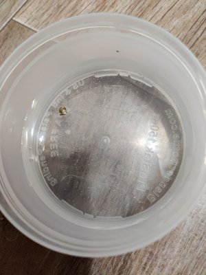 1000016454.jpg 1000016454.jpg