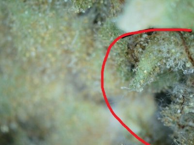 IPC_2024-03-25.18.47.57.5860.jpg IPC_2024-03-25.18.47.57.5860.jpg