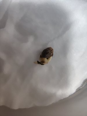 1000016723.jpg 1000016723.jpg