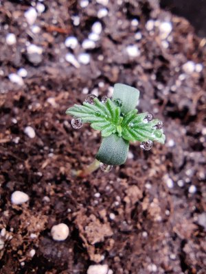 1000017090.jpg 1000017090.jpg