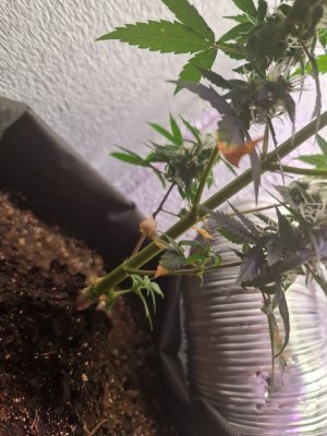 0694765d-fbcd-46f5-951d-10335104231a.jpg 0694765d-fbcd-46f5-951d-10335104231a.jpg