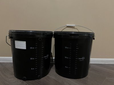 IMG_1629.JPG IMG_1629.JPG