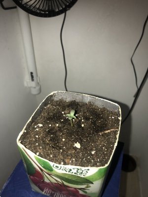 BE47A4AD-8ABA-499A-B36A-6B48B448F228.jpeg BE47A4AD-8ABA-499A-B36A-6B48B448F228.jpeg