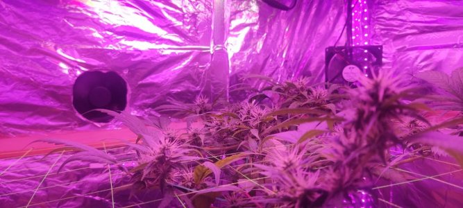 йцайц.jpg йцайц.jpg