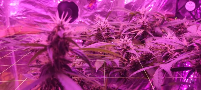 WhatsApp Image 2024-04-07 at 19.51.11 (1).jpeg WhatsApp Image 2024-04-07 at 19.51.11 (1).jpeg