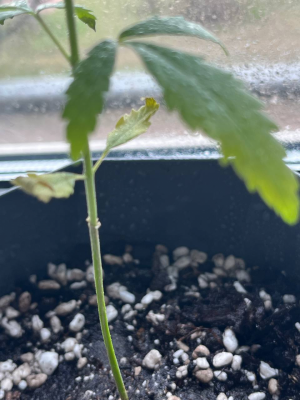 1712605989412.png 1712605989412.png