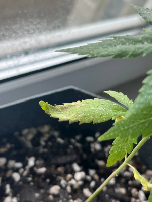 1712606003813.png 1712606003813.png