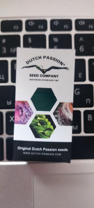 photo_2024-04-09_12-29-28.jpg photo_2024-04-09_12-29-28.jpg