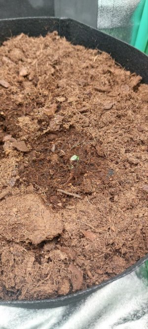 2024.04.09 - 1 день.jpg 2024.04.09 - 1 день.jpg