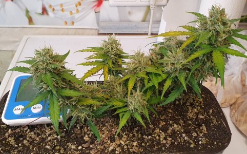 20240410_130734 — копия.jpg