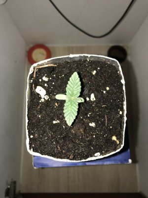 18AF0B95-8987-4566-A55E-27C6CECBD24D.jpeg 18AF0B95-8987-4566-A55E-27C6CECBD24D.jpeg