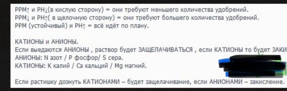 IMG_1982.jpeg IMG_1982.jpeg