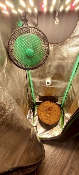 2024.04.11 - 3 день.jpg