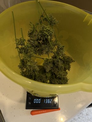 IMG_1837.JPG IMG_1837.JPG