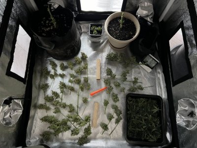 IMG_1841.JPG IMG_1841.JPG